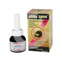eSHa 2000