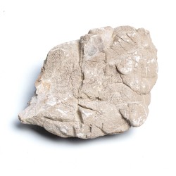Sivá horská skala