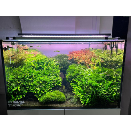 Bioflor MASTER