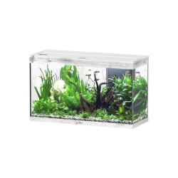 Aquatlantis SPLENDID 100x40x61