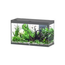 Aquatlantis SPLENDID 100x40x61 2