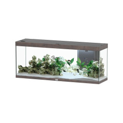 Aquatlantis SPLENDID 150x40x61 2
