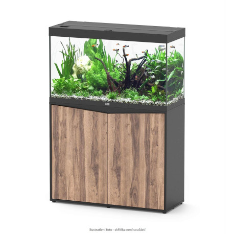 Aquatlantis SPLENDID 100x40x61