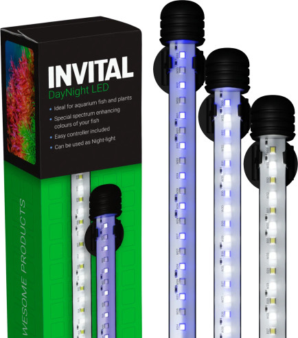 Denné a nočné osvetlenie INVITAL LED