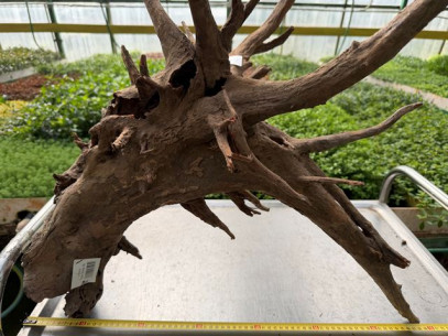 koren-curl-wood-xl-1